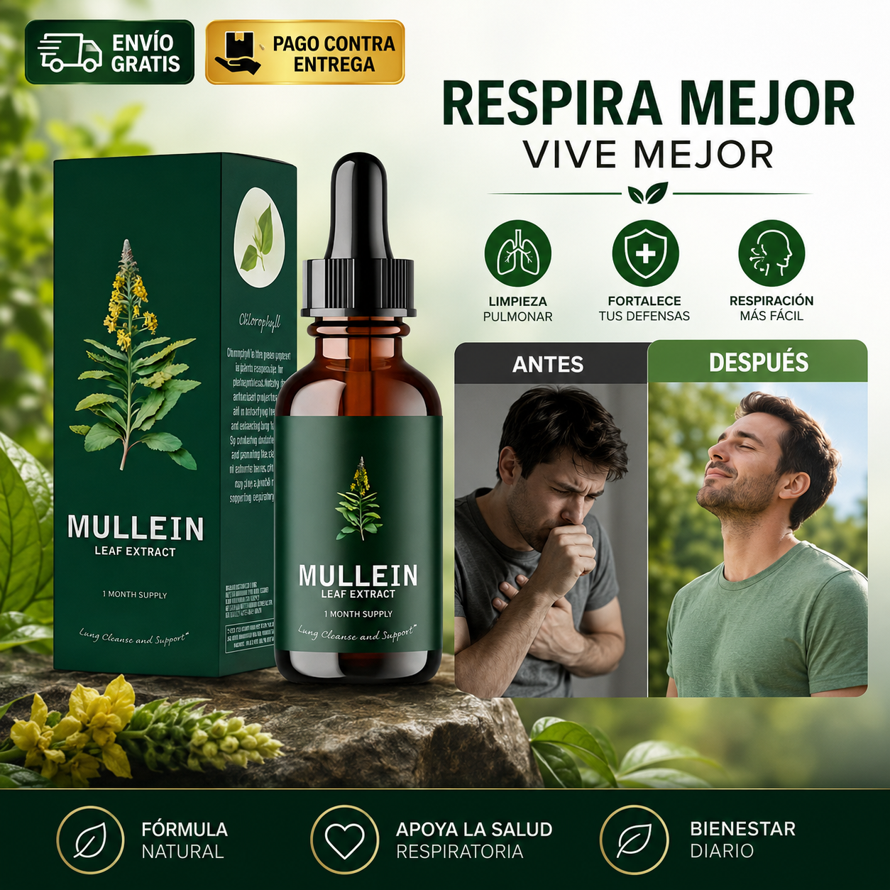 Betterlung Mullein®: Extracto de gordolobo para tu rutina de bienestar diario
